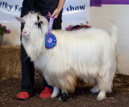 MCH Sol-Orr's Bourbon And Branch