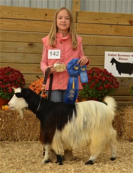 Sol-Orr's Sweet Baby James