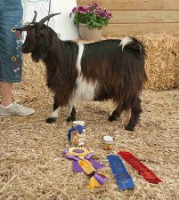 Signature's Poison Ivy