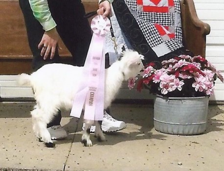 Pepper Creek Ur Emma My Heart