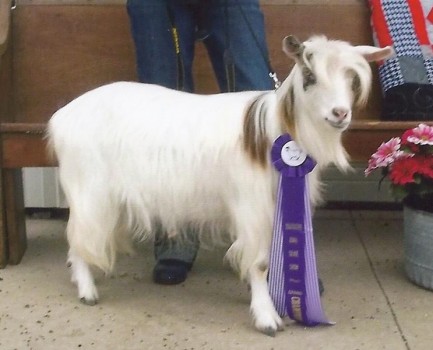 Randolph's Eau Claire