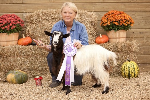 Flying J Fainter's Belle