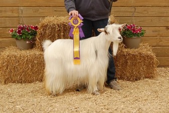 Hobby Hills Lifes A Journey