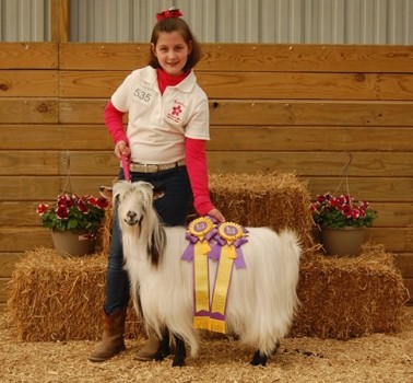 Sol-Orr's Lady Liberty