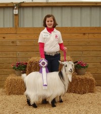 Sol-Orr's Lady Liberty