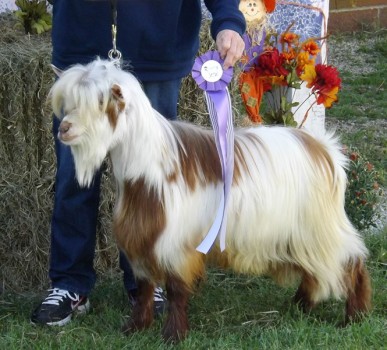 Hobby Hills Tonka Toy