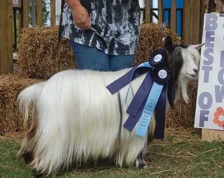 MCH Flying J Bouquet