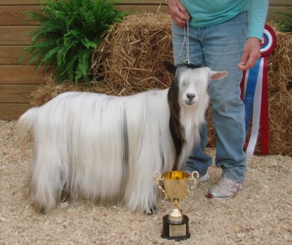 MCH Flying J Bouquet 