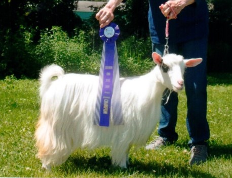 Hobby Hills Spotlight