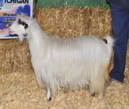 Hooby Hills Its My Party