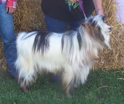 Randolph's Ichabaaad