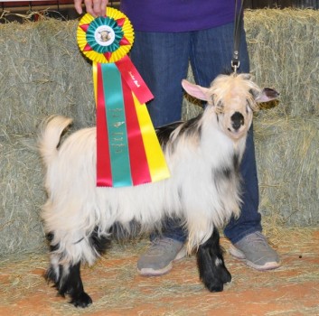 Hobby Hills Buck Owens