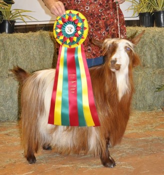 MCH Flying J Secret Obsession